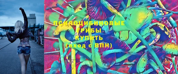шишки Алексин