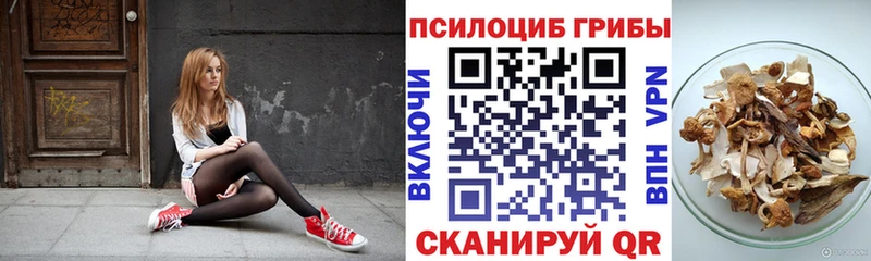 гидра сайт Елизово маркетплейс формула купить наркотики сайты Галлюциногенные грибы прущие грибы
